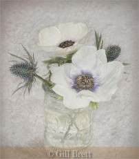 Commended_Gill Brett_Anemones and Thistles