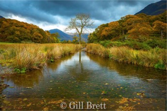 Commended_Gill Brett_Mill Beck