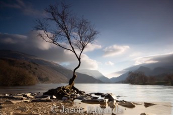 Commended_Jason Edwards_Another Lone Tree