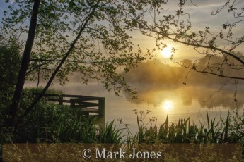 Commended_Mark Jones_Beauty of Solitude