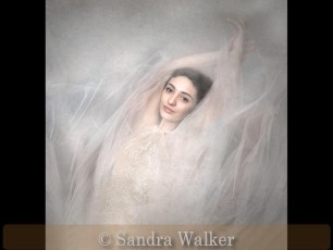 Commended_Sandra Walker_The Dancer