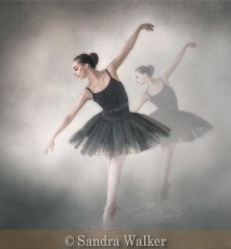 Highly Commended_Sandra Walker_Shadow Dancer