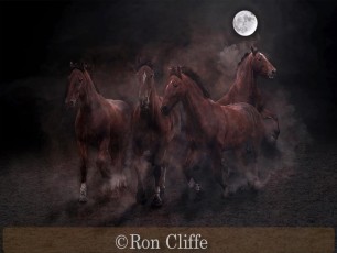Very Highly Commended_Ron Cliffe_Stampede
