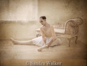 Very Highly Commended_Sandra Walker_Preparation