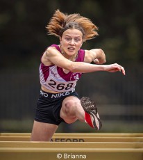 268 on hurdles