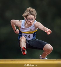 Hurdles
