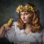 Plagiarism in Photography